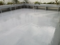 Pintores profesional para tu piso o casa en A Coruña y Ferrol - Foto 14